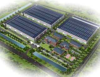 今年36岁的李 今年36岁的李